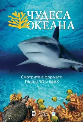 Чудеса океана 3D