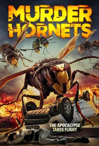 Angry Asian Murder Hornets