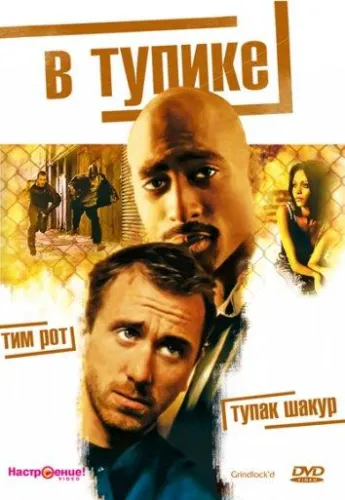 В тупике 